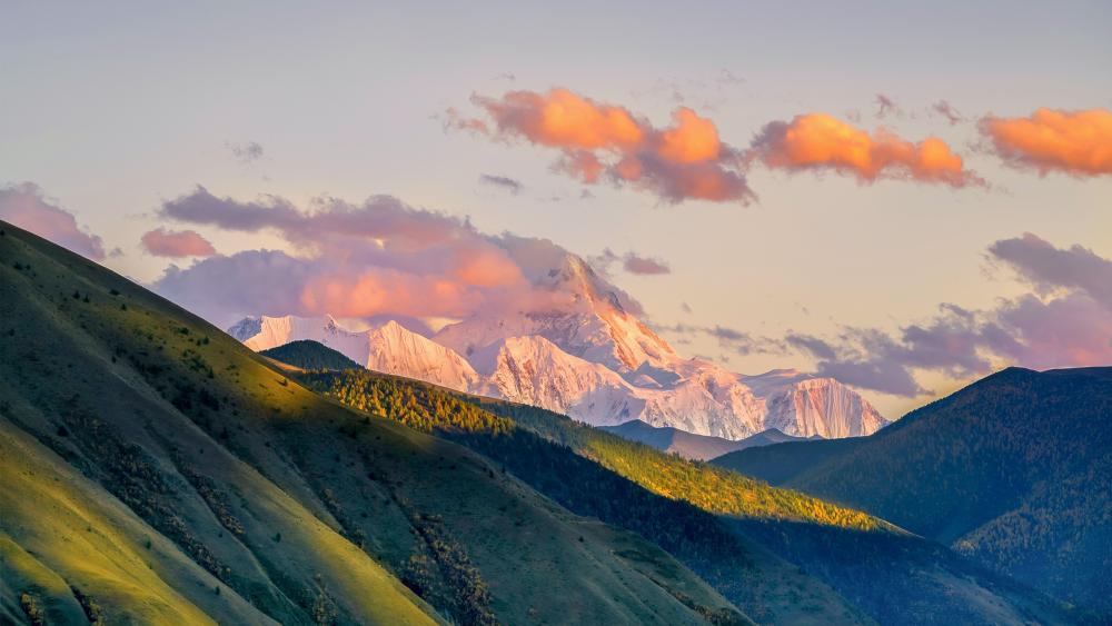 Wallpaper from nature category
