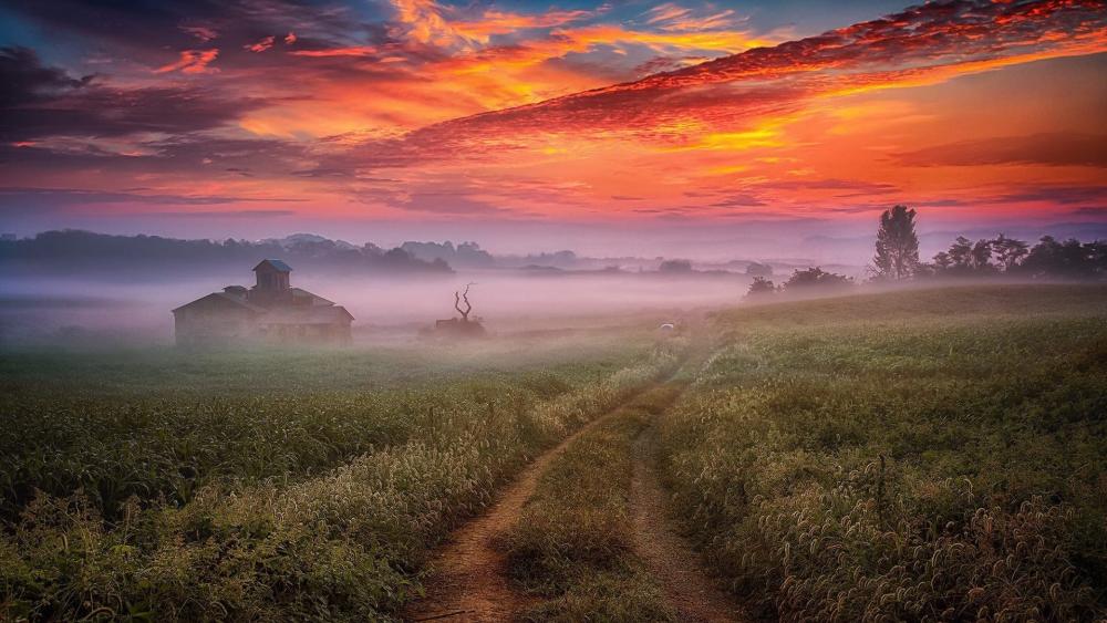 Serene Dawn Over Misty Fields wallpaper