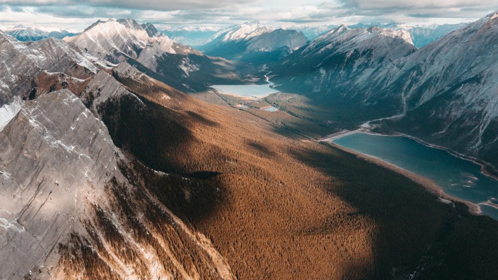 Wallpaper from nature category