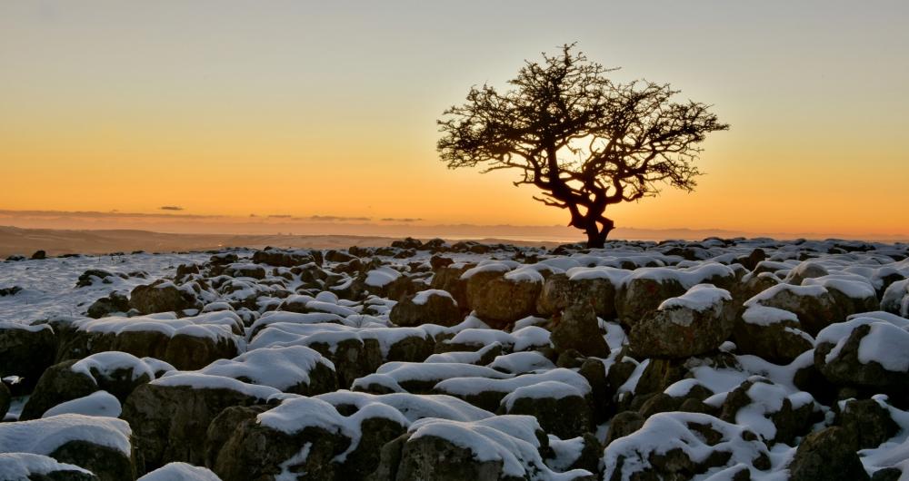 Wallpaper from nature category