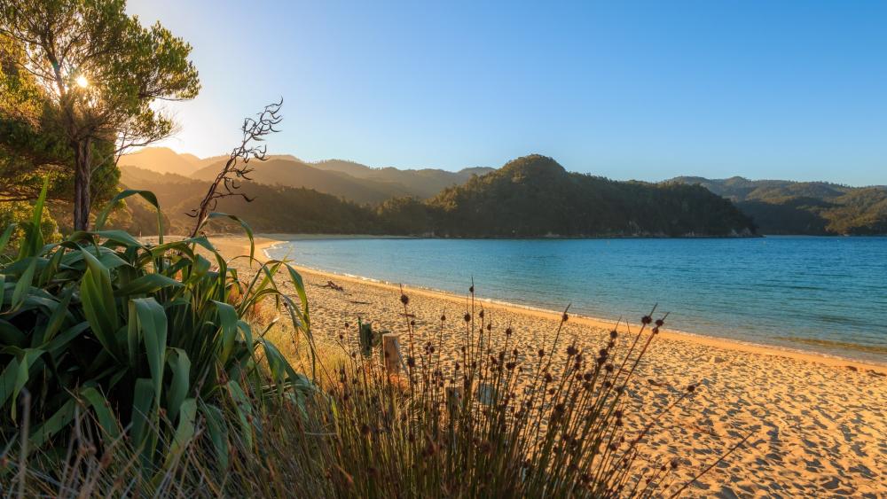 Serene Beach at Sunrise Inviting Tranquility and Beauty wallpaper