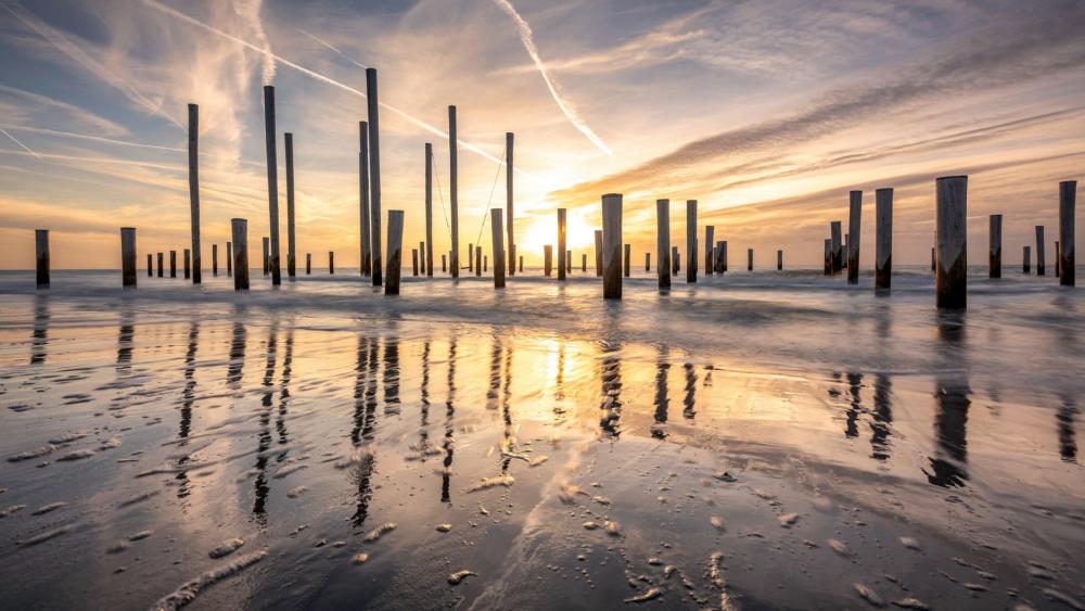 Ethereal Sunrise Over Waterlogged Poles wallpaper