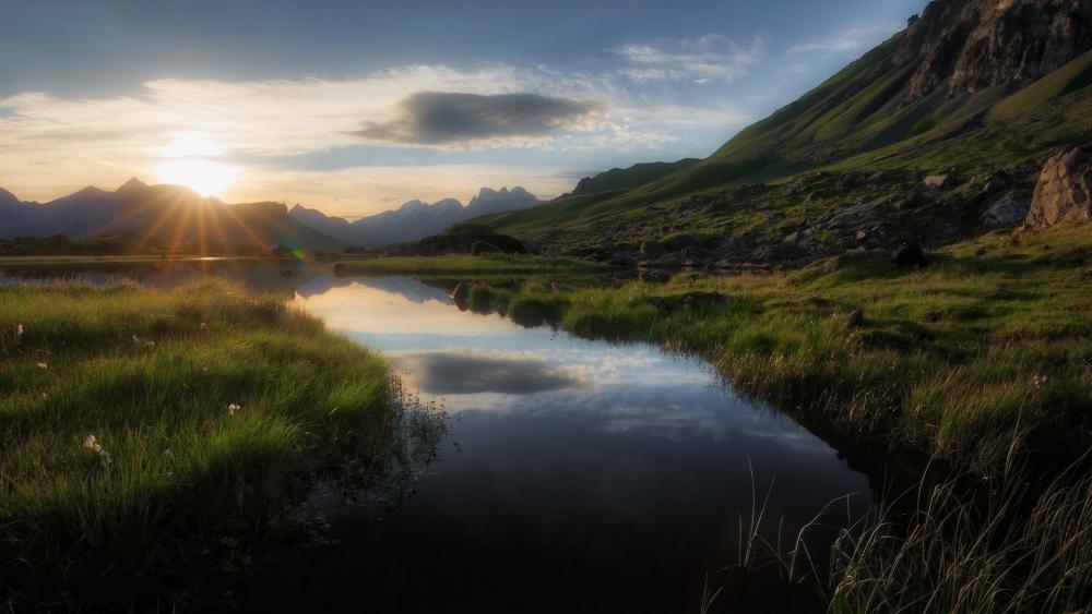 Wallpaper from nature category