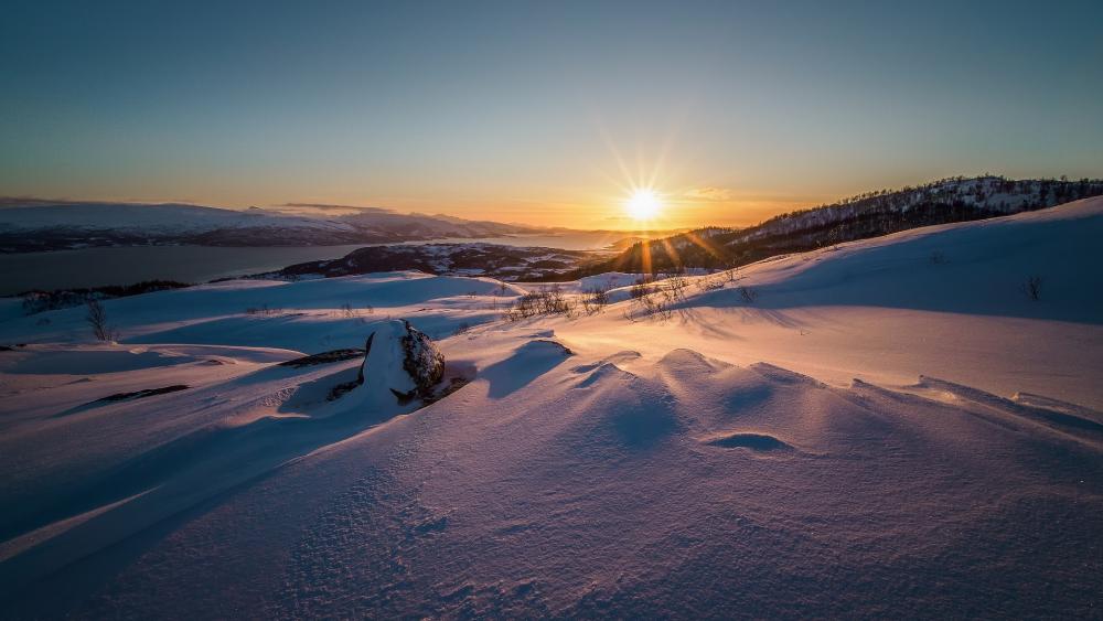 Serene Winter Sunset Over Snowy Landscape wallpaper