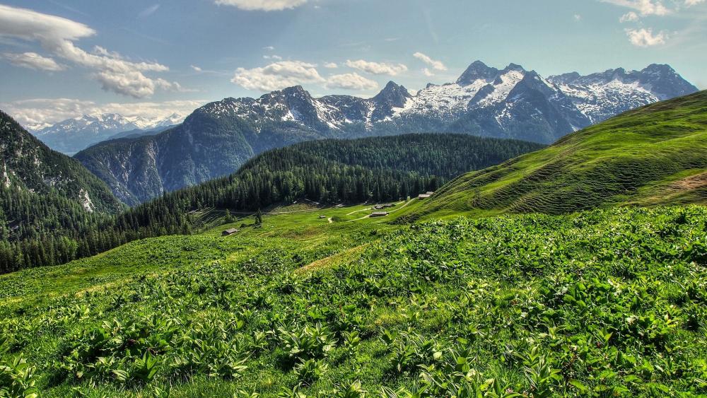 Breathtaking Mountain Landscape with Lush Greenery and Snowy Peaks wallpaper