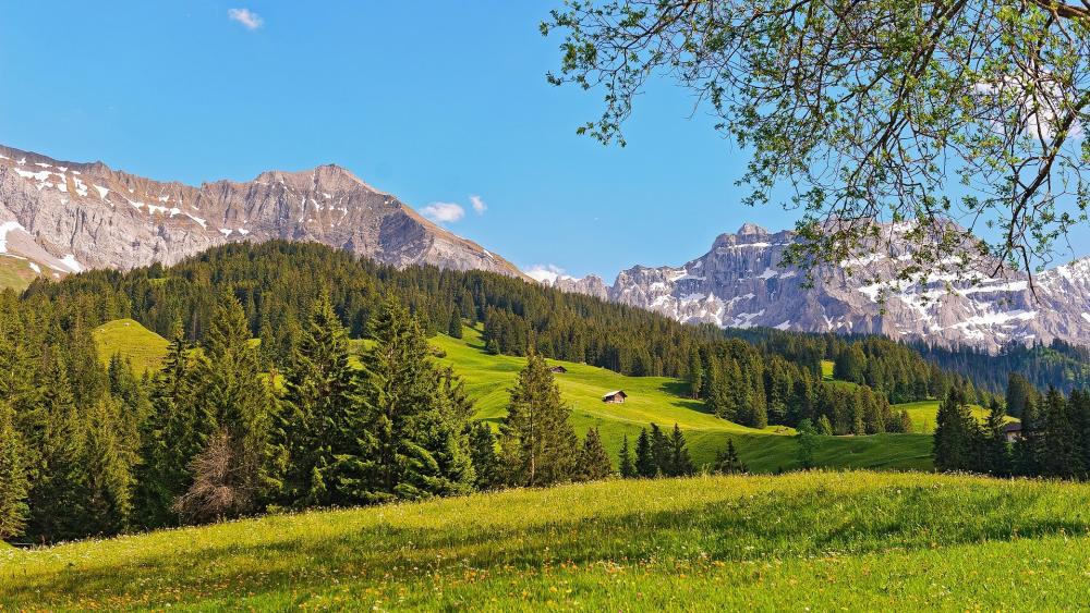 Breathtaking Alpine Landscape with Lush Greenery wallpaper