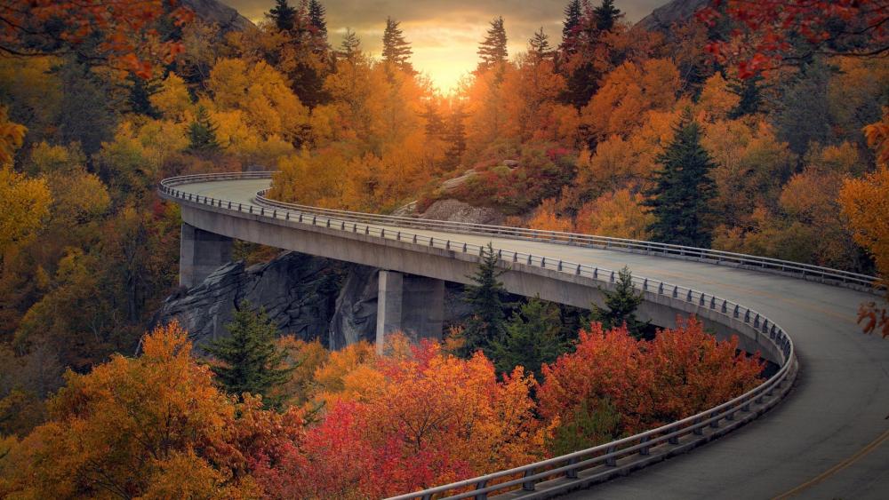 Autumn Serenity on a Curved Roadway wallpaper