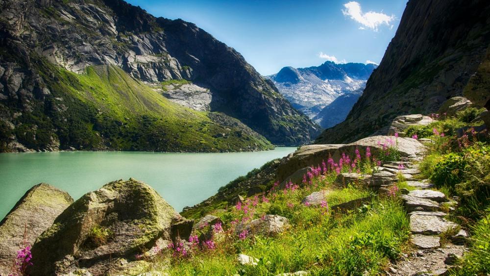 Serene Mountain Lake Surrounded by Lush Flora wallpaper