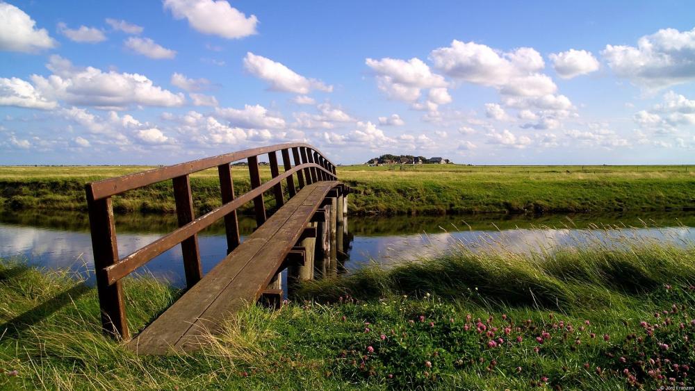 Serene Bridge Over Tranquil Waters wallpaper