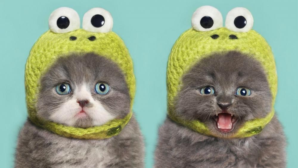 Adorable Kittens Dressed as Frogs wallpaper