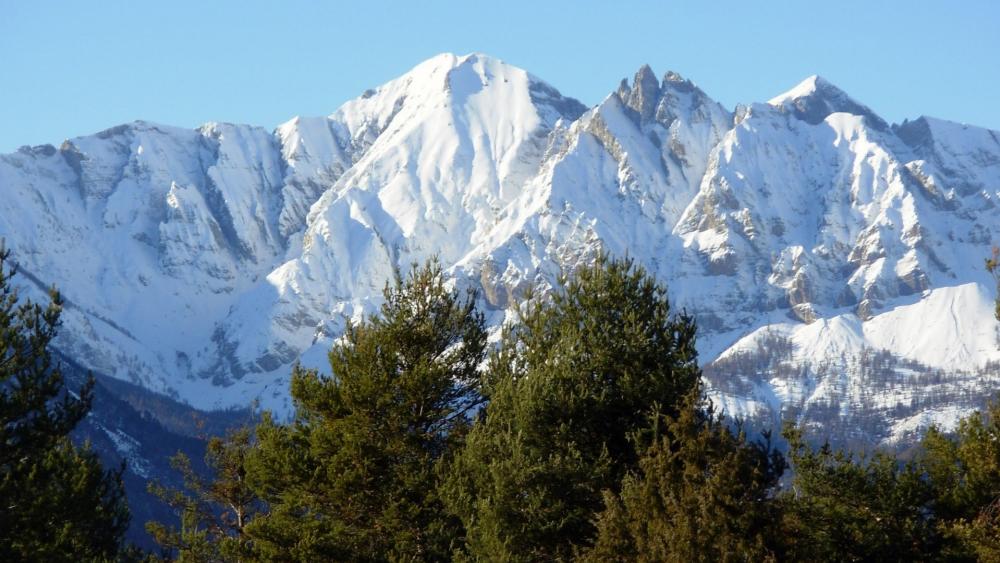 Majestic Snow-Capped Mountains Amidst Lush Forests wallpaper