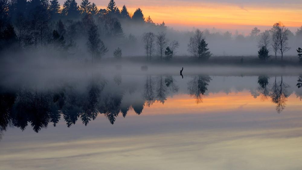 Serene Misty Lake Reflection wallpaper