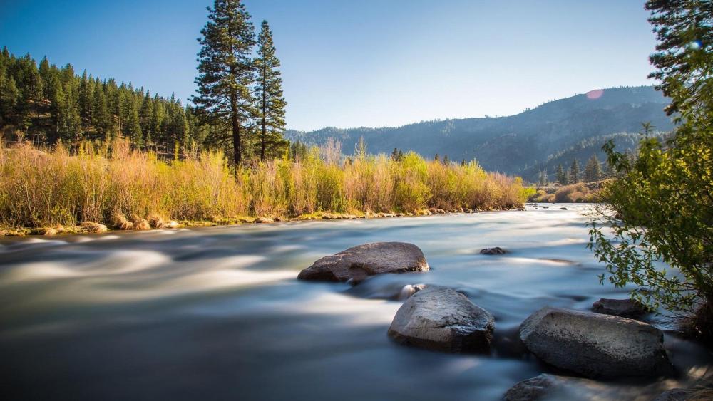 Serene River Flowing Through Lush Landscape wallpaper