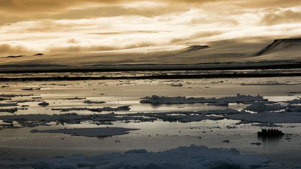 Golden Dawn Over Icy Waters wallpaper