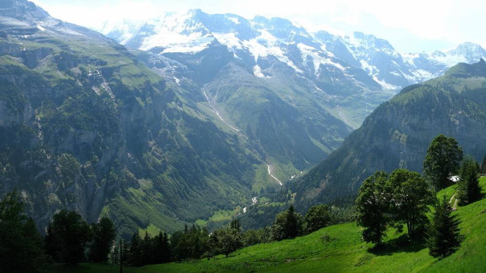 Majestic Mountain Landscape Under Clear Blue Sky wallpaper