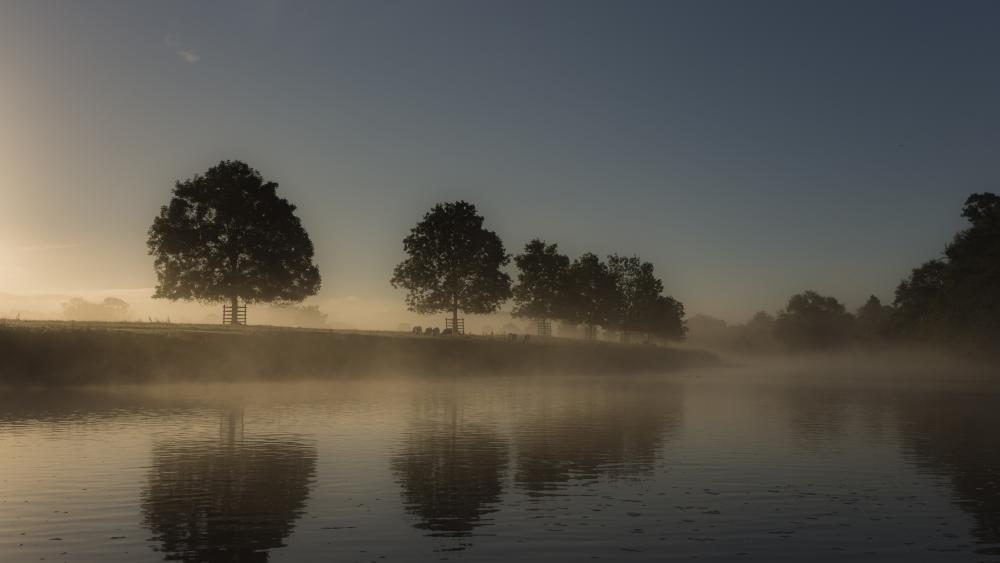 Serene Morning on the Water wallpaper