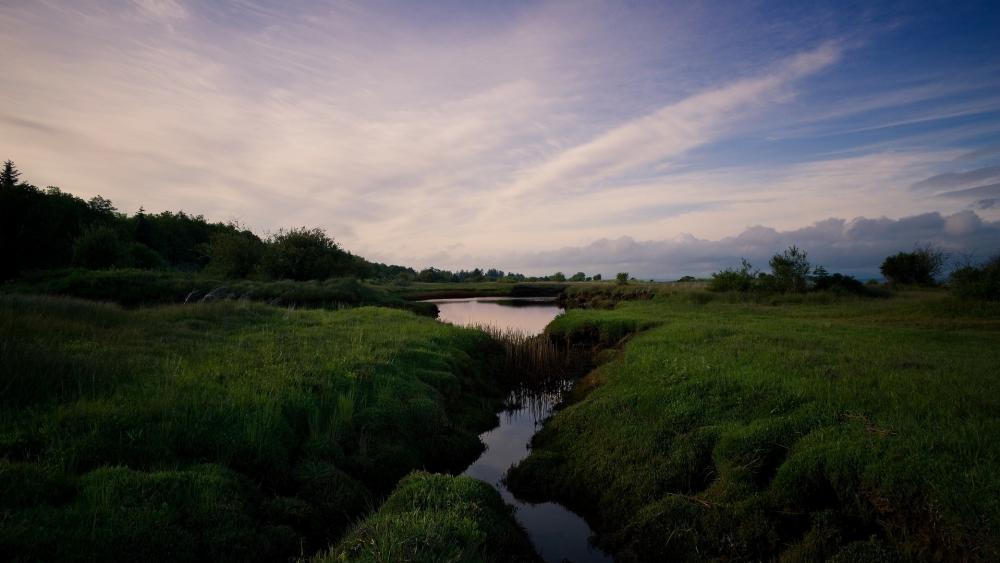 Serene Landscape of Tranquil Waters and Greenery wallpaper