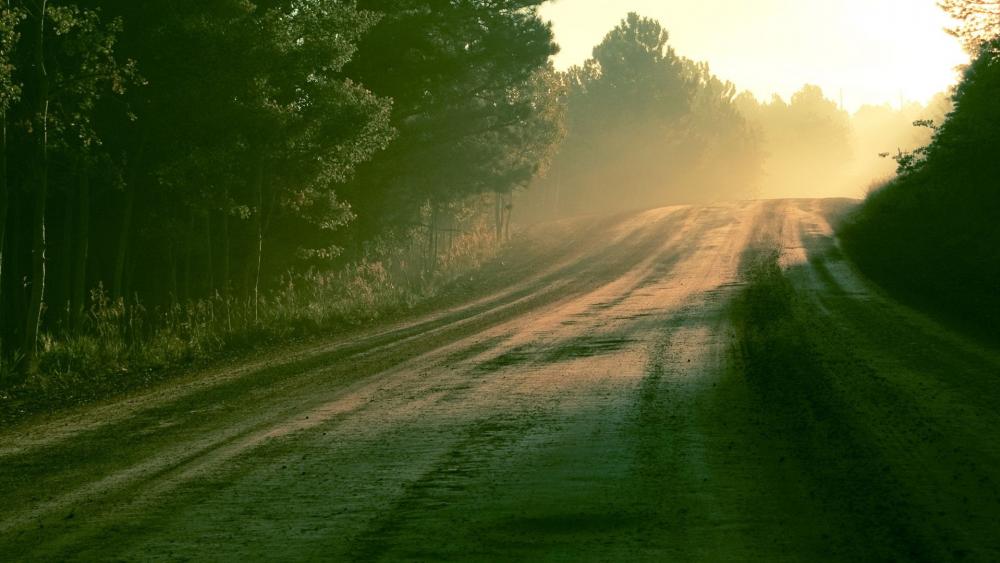 Serene Early Morning Country Road Scene wallpaper