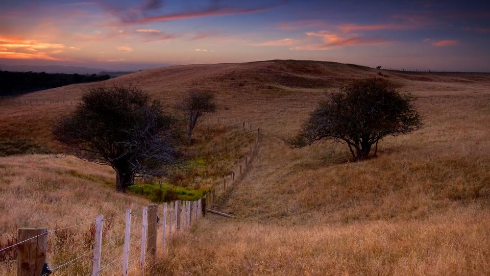 Wallpaper from nature category