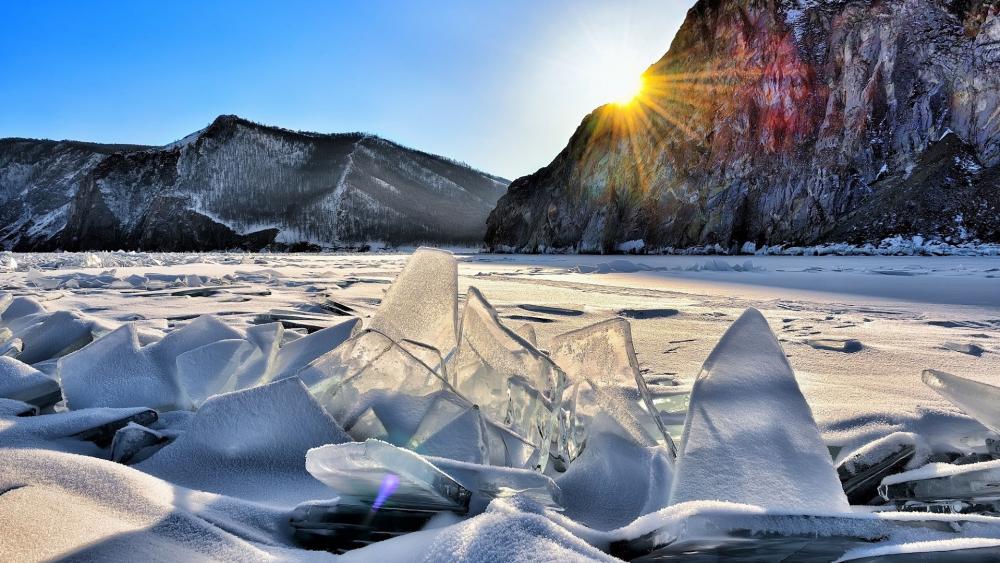 Frozen Serenity in Nature's Embrace wallpaper