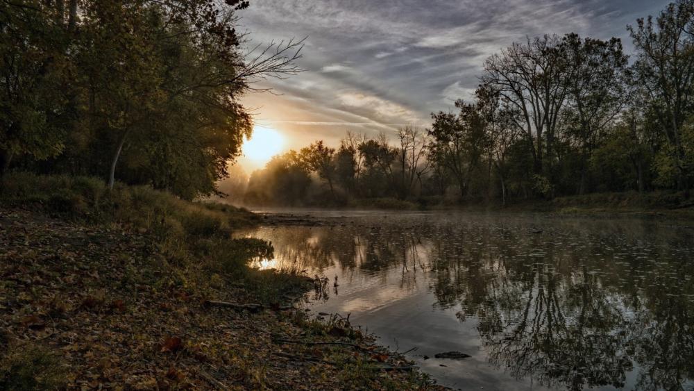 Serene Morning by the Riverbank wallpaper