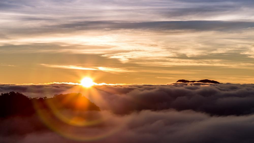 Golden Horizon Above the Clouds wallpaper