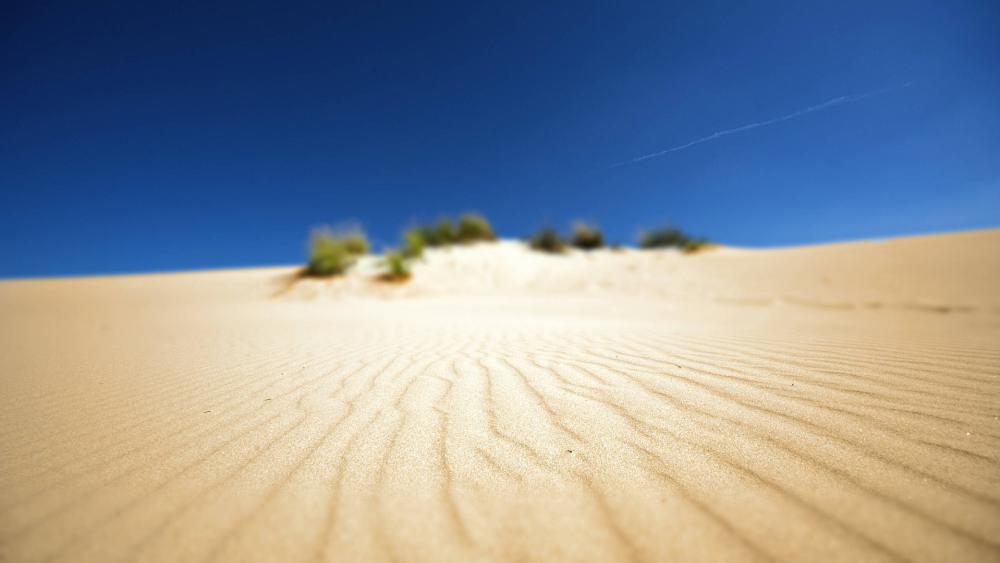 Endless Desert Sands Under Clear Blue Sky wallpaper