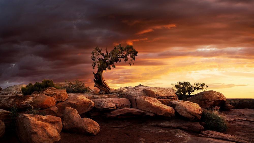 Majestic Sunset Over Rugged Landscape wallpaper