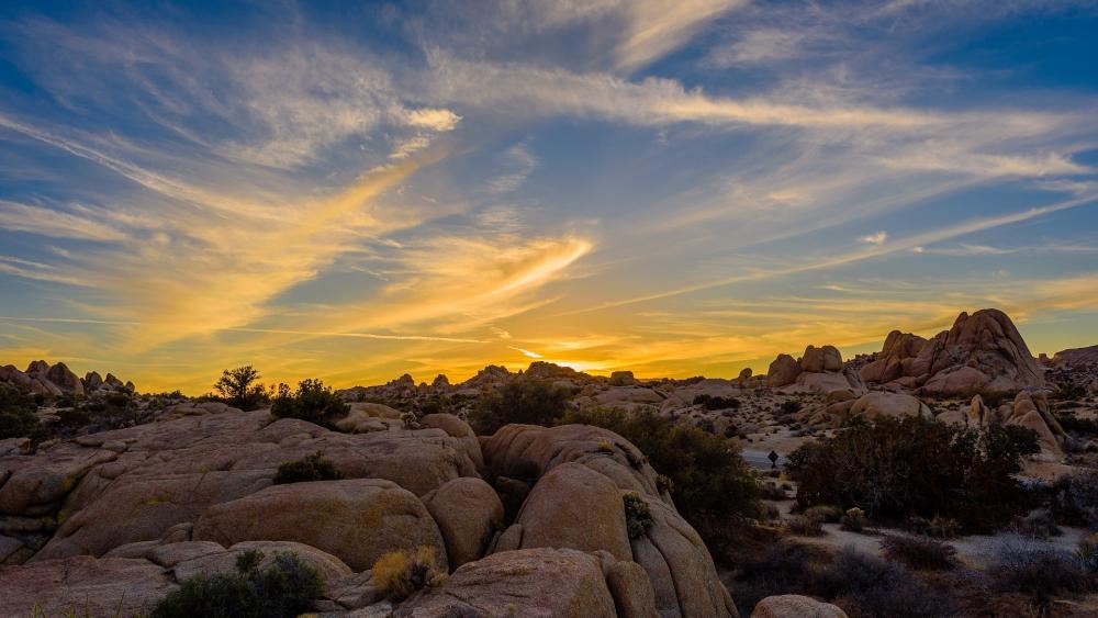 Wallpaper from nature category