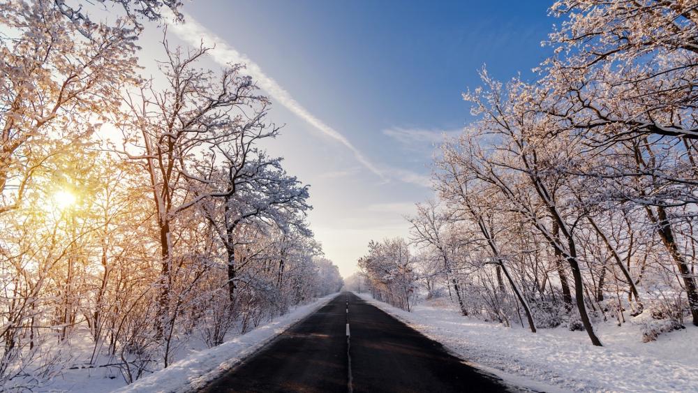 Winter Wonderland Roadway Scene wallpaper