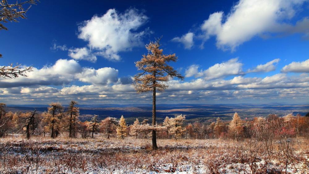 Serene Winter Landscape with Majestic Clouds wallpaper