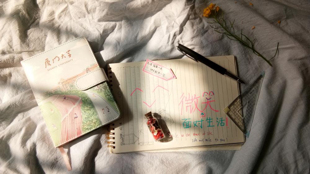 A Cozy Afternoon of Journaling and Memories wallpaper