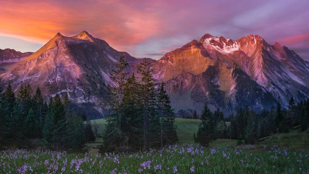 Majestic Mountains at Dawn Over Serene Meadows wallpaper
