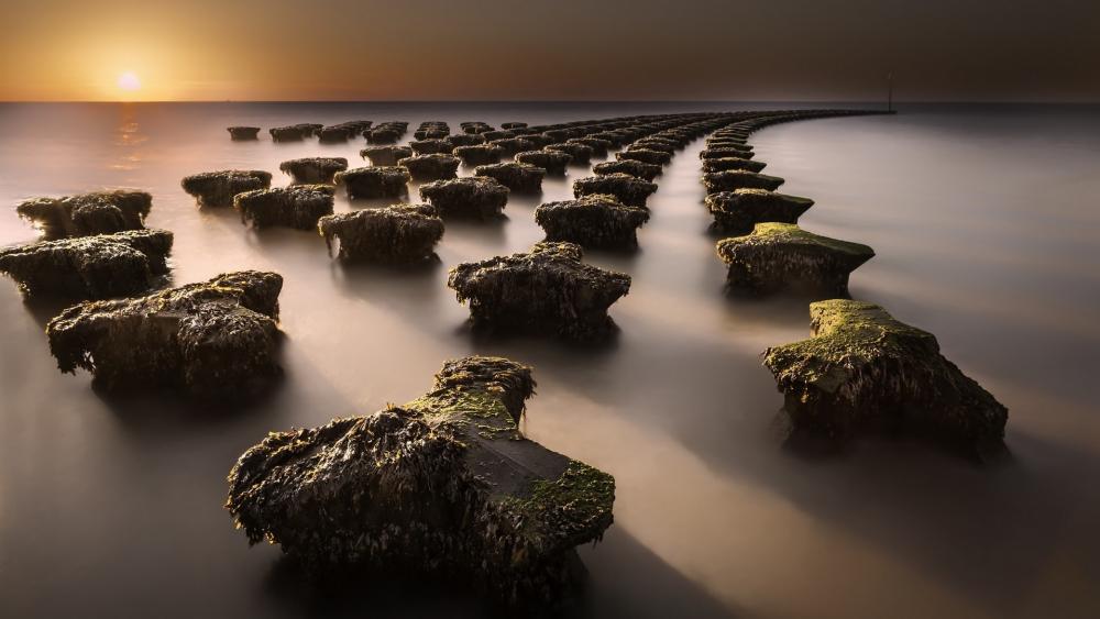 Wallpaper from nature category