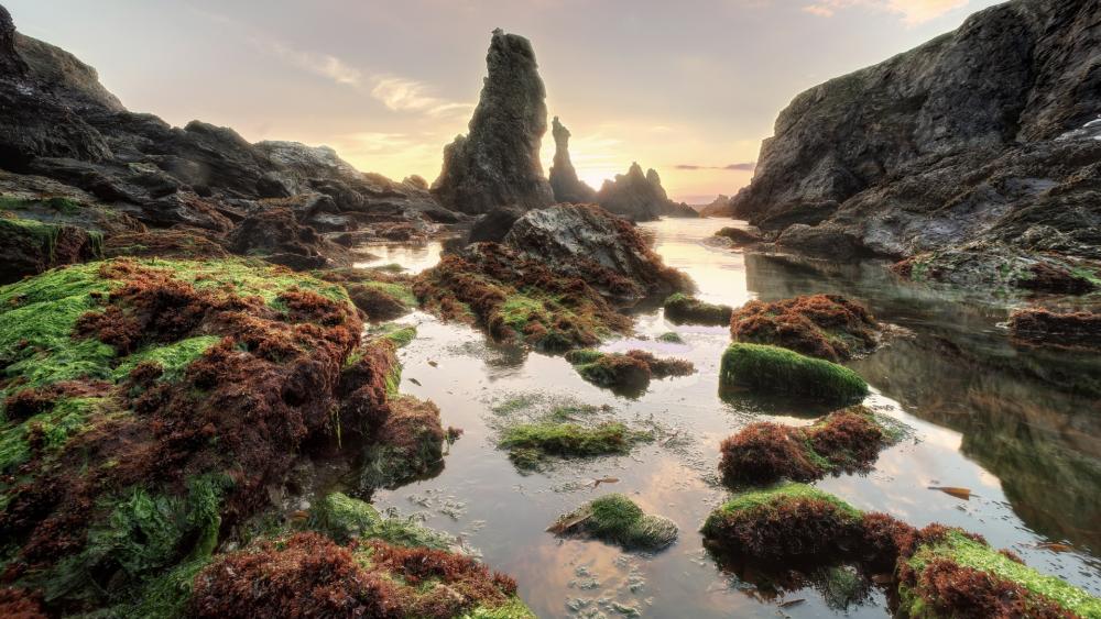 Wallpaper from nature category