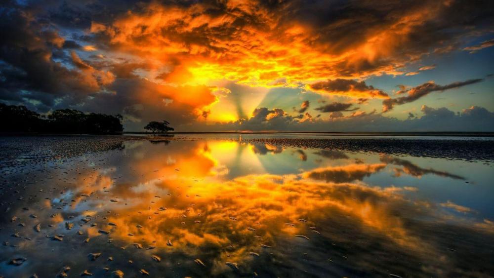 Wallpaper from nature category