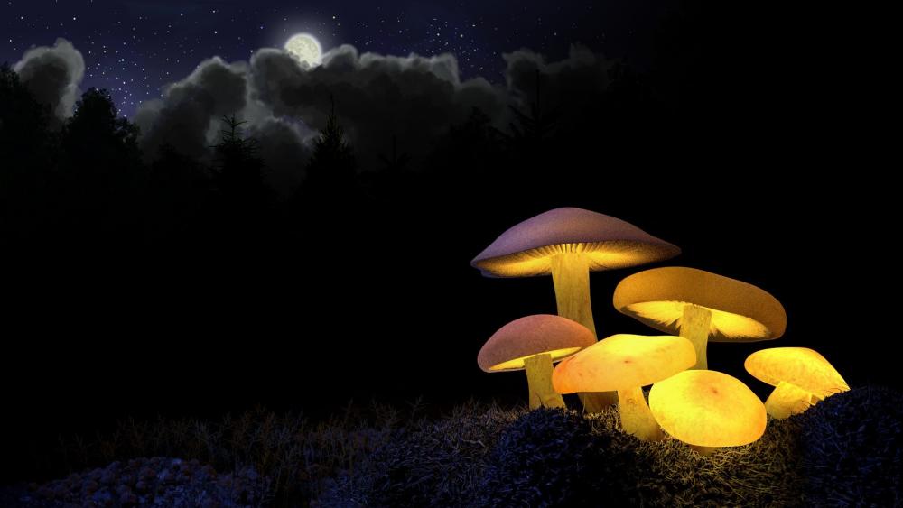Glowing mushrooms wallpaper