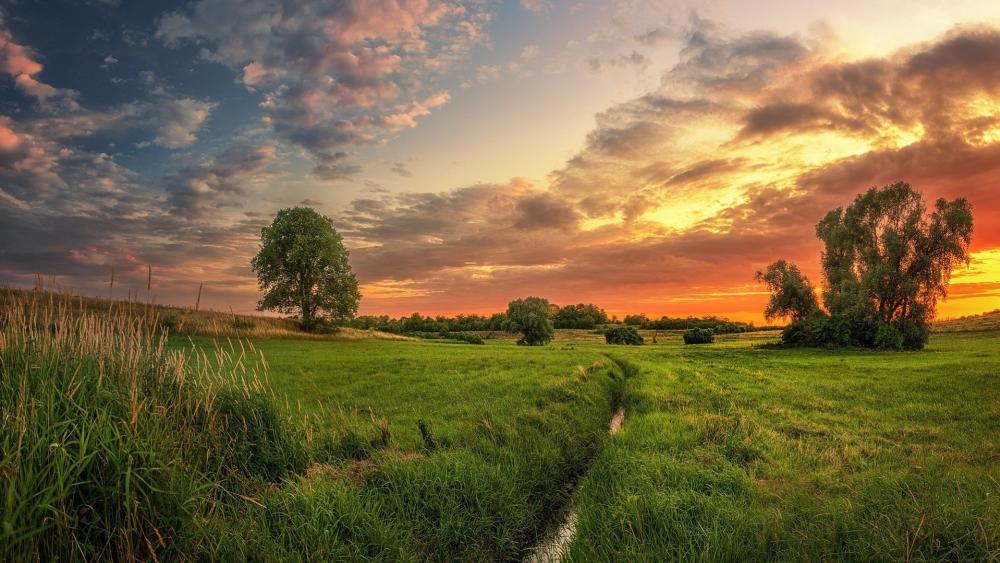 Serene Sunset Over Lush Green Fields wallpaper