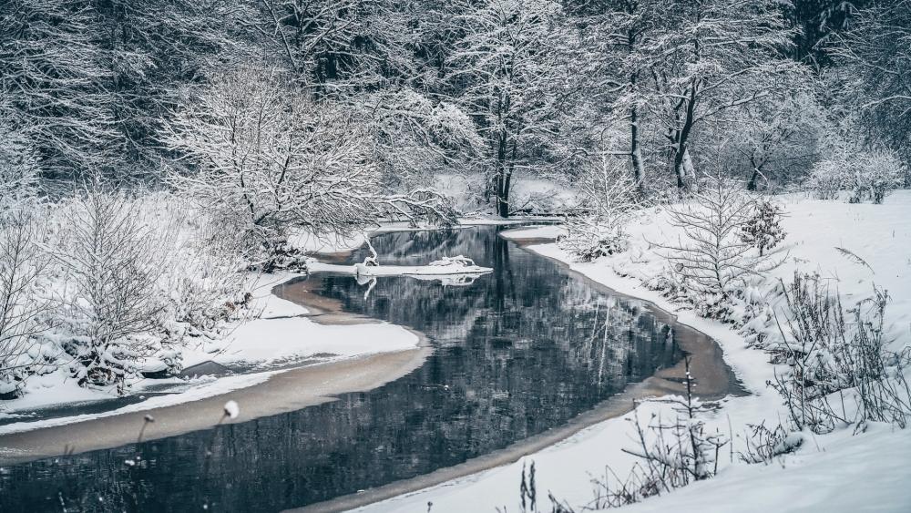 Winter Serenity by a Snowy Stream wallpaper