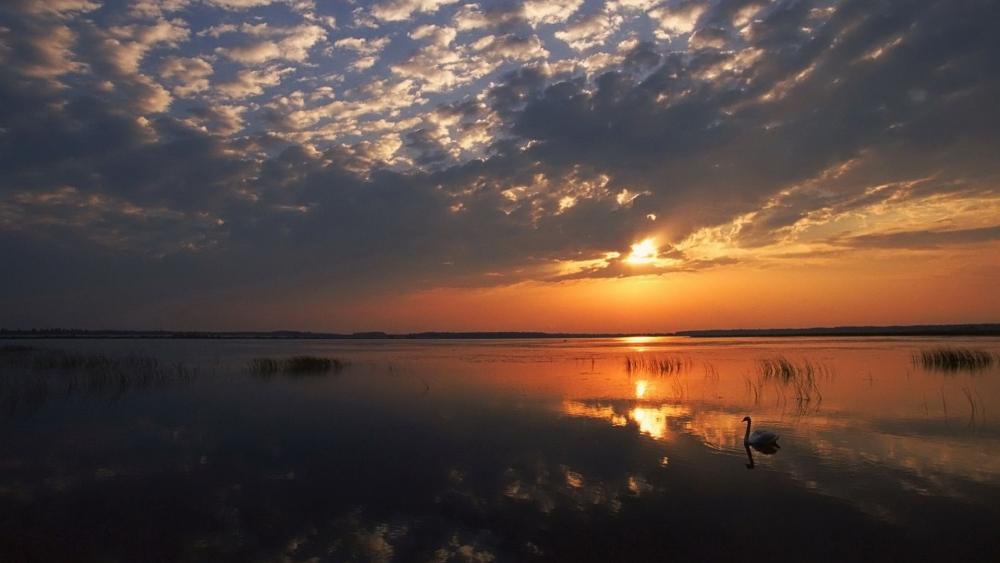 Tranquil Sunset Over Still Waters wallpaper