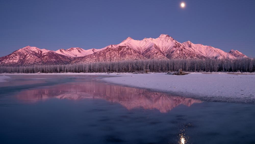 Majestic Winter Landscape Under Moonlight wallpaper