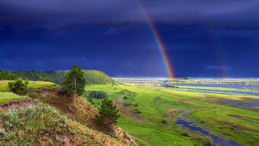 Vibrant Rainbow Across Lush Green Landscape wallpaper