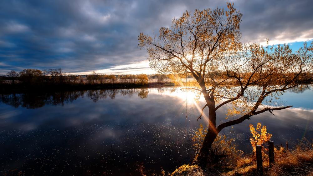 Autumn Serenity by the Waterway wallpaper