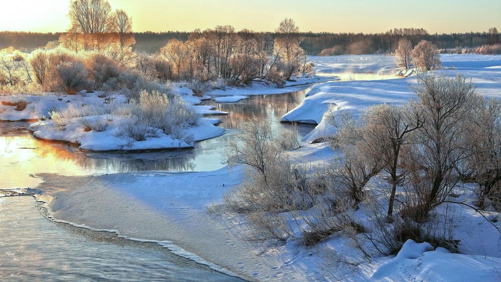 Winter Serenity in a Frozen Landscape wallpaper