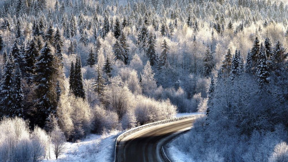 Winter Wonderland Landscape with Curving Road wallpaper