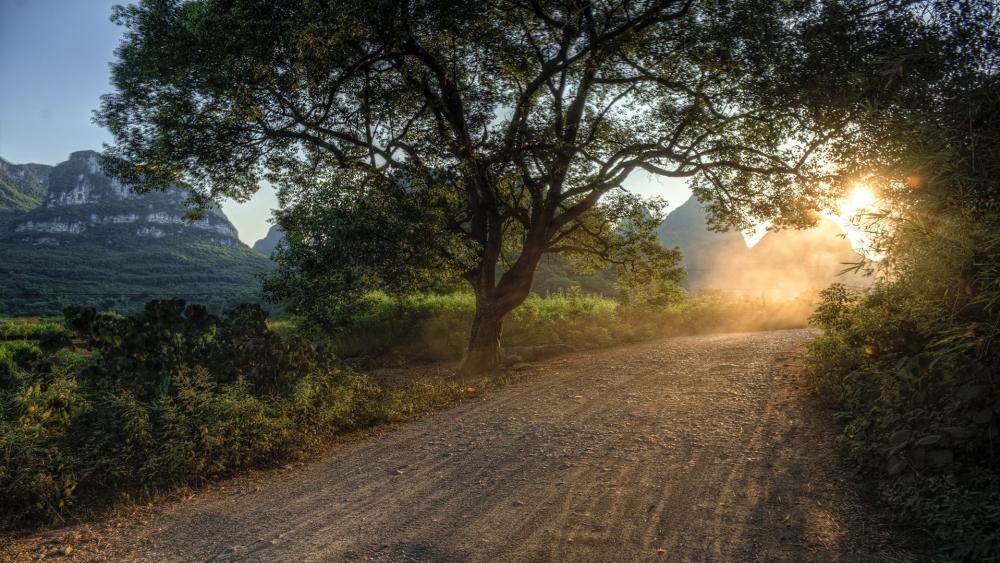 Serene Sunset Along a Dusty Roadway in Nature wallpaper