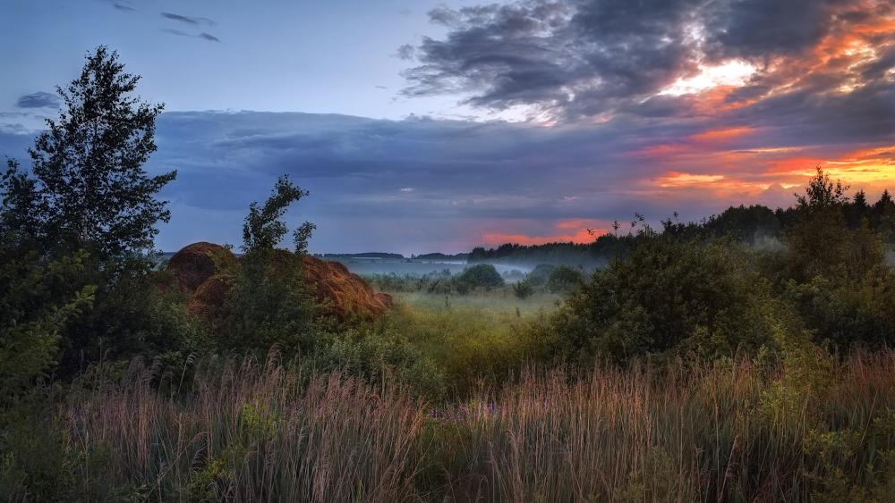 Serene Sunset Over Misty Landscape wallpaper