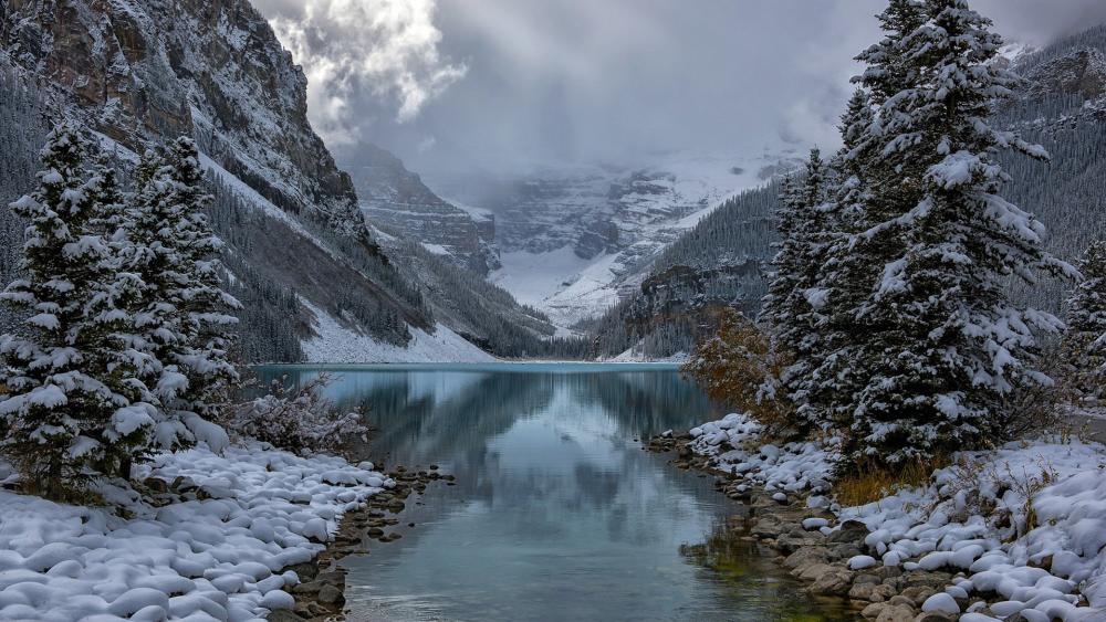 Frozen Serenity in Nature's Embrace wallpaper