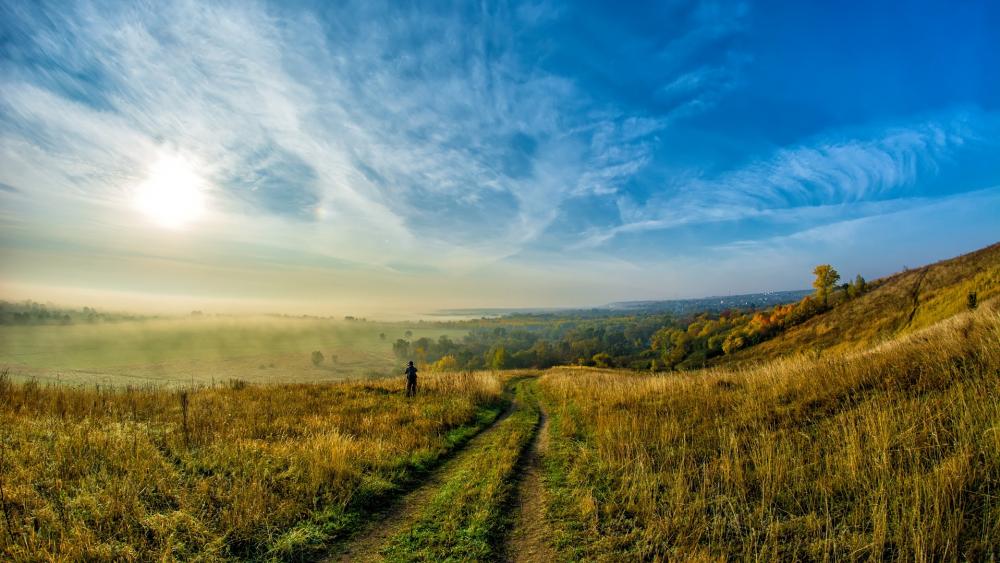 Serene Morning in Nature's Embrace wallpaper