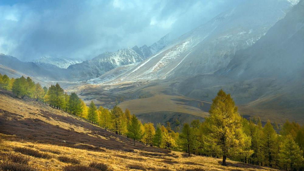 Majestic Autumn Landscape in the Mountains wallpaper